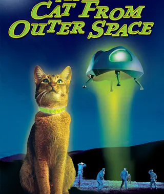 Cat from Outer Space