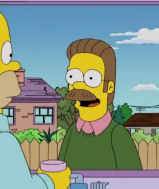 Ned Flanders (The Simpsons)