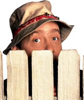 Wilson Wilson Jr. (Home Improvement)