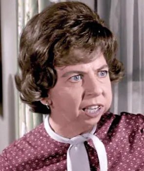Gladys Kravitz ( Bewitched)