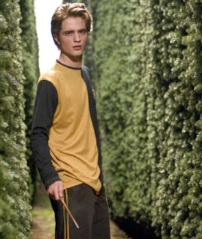 Cedric Diggory in Harry Potter and the Goblet of Fire