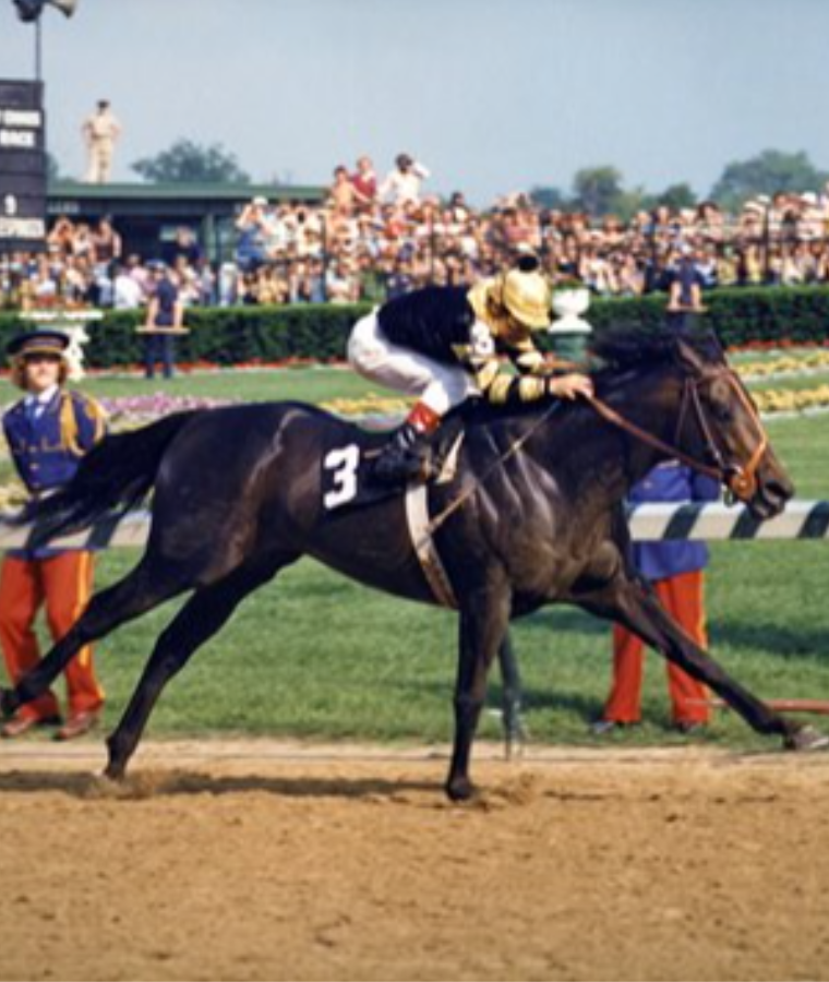 Seattle Slew