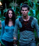 The Maze Runner