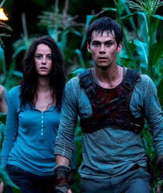 The Maze Runner