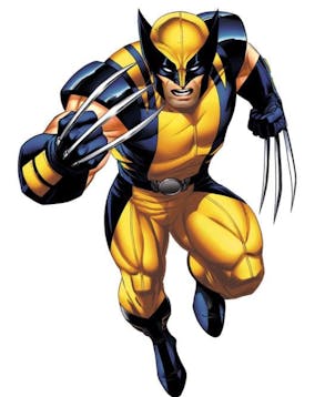 Wolverine