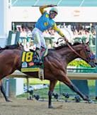 American Pharoah