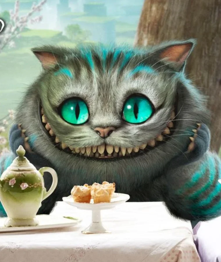 Cartoon Cats