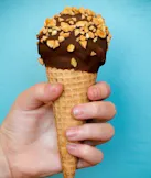 Drumstick