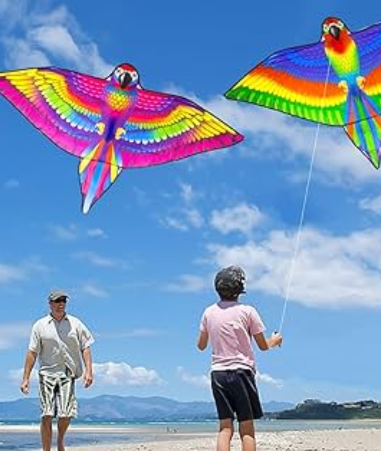 Fly a Kite