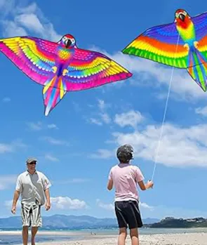 Fly a Kite