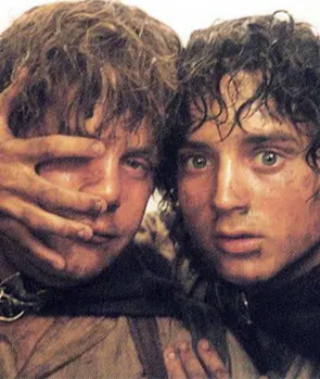 Frodo Baggins & Samwise Gamgee (Lord of the Rings)