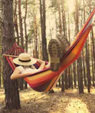 Hammock