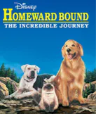 Homeward Bound: The Incredible Journey