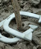 Horseshoes