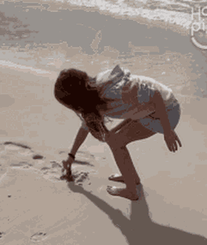 Hunt for Seashells