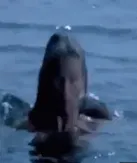 Jaws (1977)