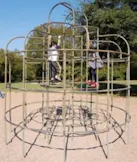 Jungle Gym
