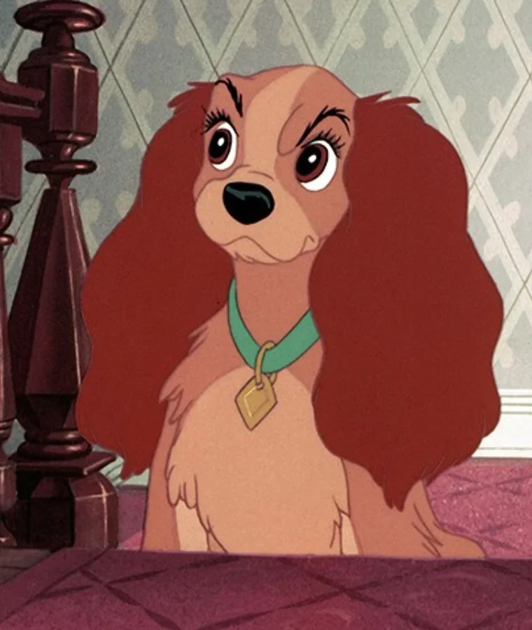 Cartoon Dogs