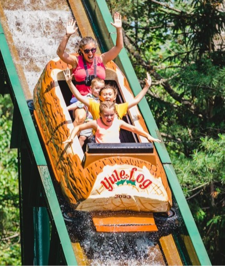 Log Flume
