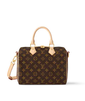 Louis Vuitton Speedy