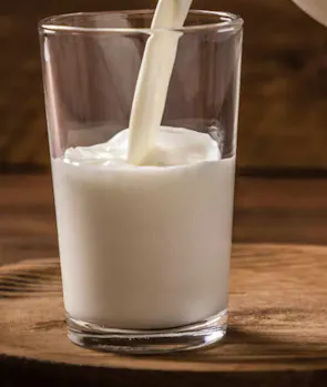 Milk