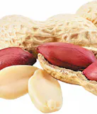 Peanuts