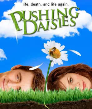 Pushing Daisies
