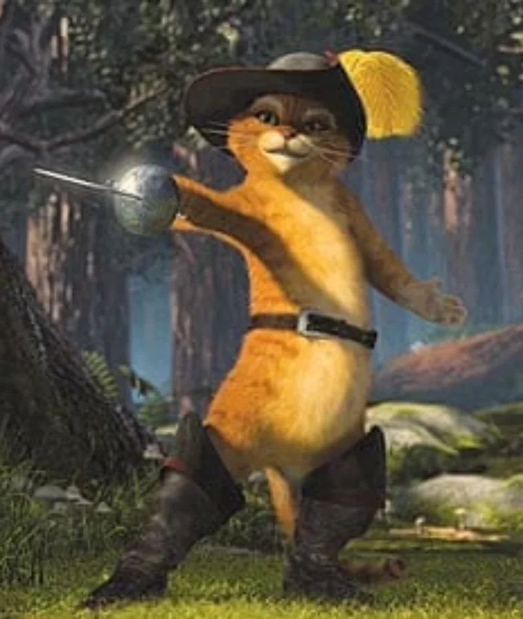 Cartoon Cats