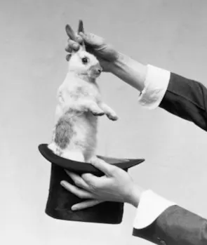 Rabbit in a Hat