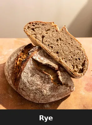 Rye