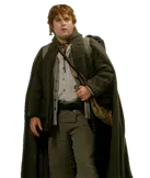 Samwise Gamgee