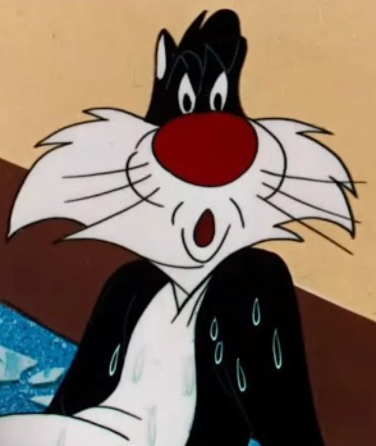Cartoon Cats