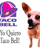 Taco Bell Chihuahua (Taco Bell)