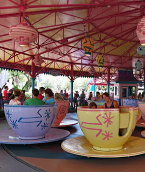 Tea Cups