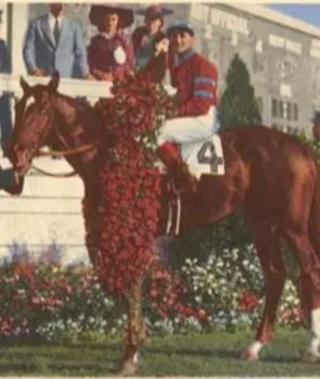 Whirlaway