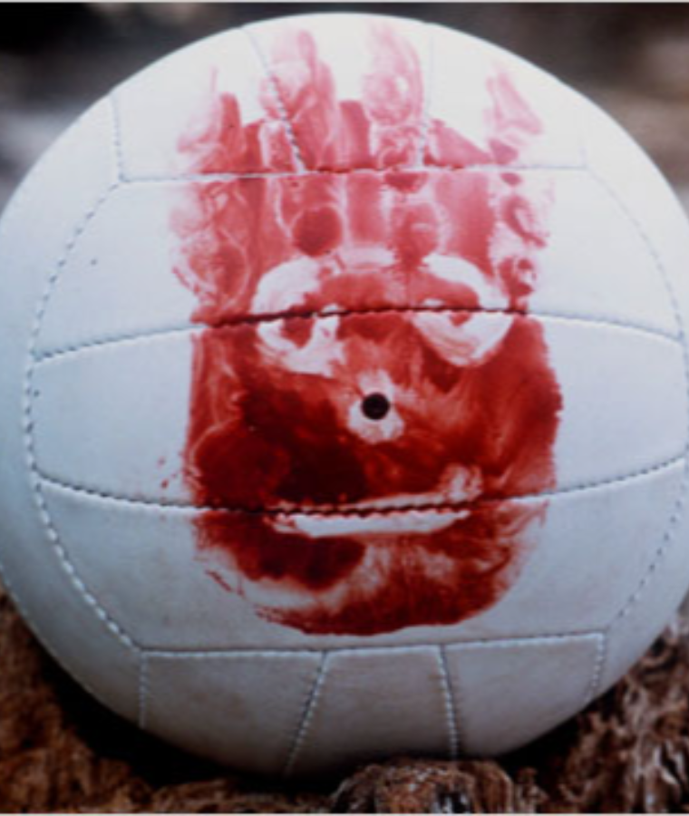 Wilson Volleyball (Cast Away)
