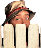 Wilson Wilson Jr. (Home Improvement)