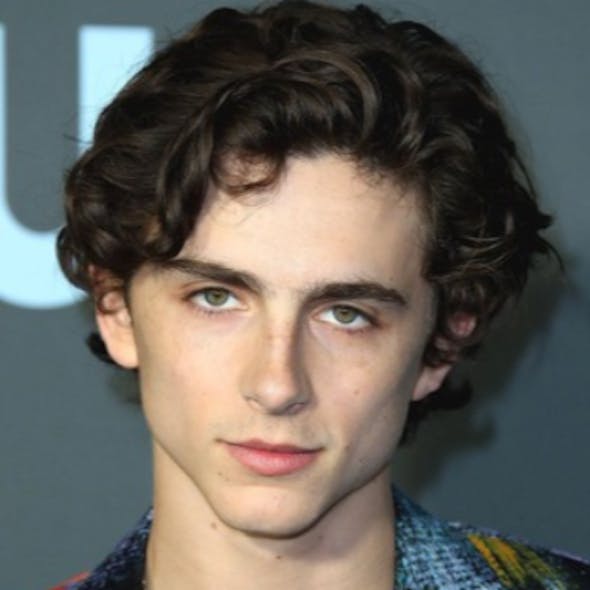 Timothee Chalamet Movies