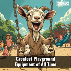 Playground Equipment