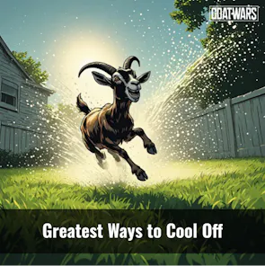 Ways to Cool Off