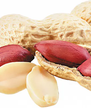 Peanuts