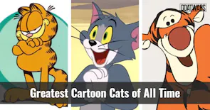 Cartoon Cats
