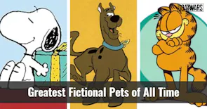 Fictional Pets
